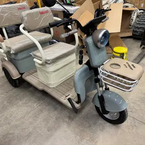 Unused Sky Blue/Beige Electric 3 Wheel Mini Golf Cart Model MGC40