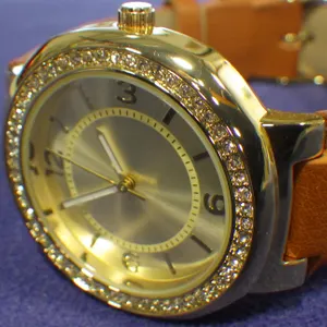 Accutime Watch Corp TRU17L Watch