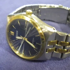 Citizen Eco-Drive Watch ***NOT TESTED***