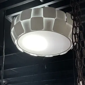 Modern White Ceiling Light Fixture