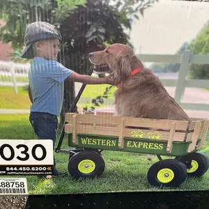 WESTERN EXPRESS WEW01