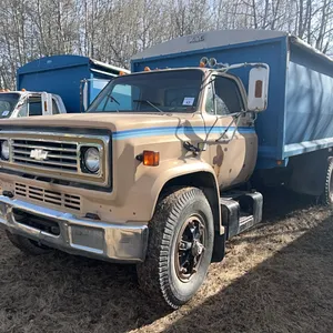 1981 CHEV 70 T/A GRAIN TRUCK
