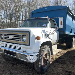 1979 CHEV C70 S/A GRAIN TRUCK