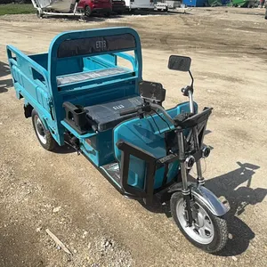 IRET13 electric tricycle with dumping bed