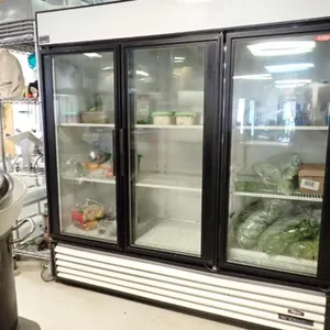 True GDM-72 Merchandiser Cooler