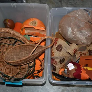 Halloween and Fall Decor