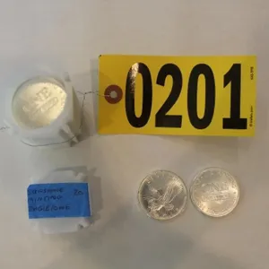 Silver Coin Auction