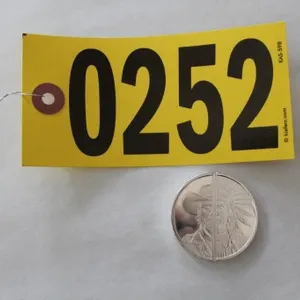 2023 Elemetal - Western Warrior Divisible