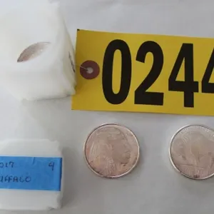 2017 Silver Towne Buffalo Round