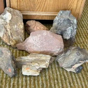 7 PC - PETRIFIED WOOD