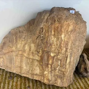LARGE PETRIFIED WOOD D�COR