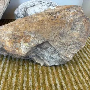 PETRIFIED WOOD D�COR
