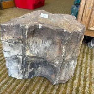 PETRIFIED WOOD D�COR