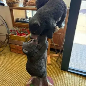 BLACK BEAR POLYREISN STATUE