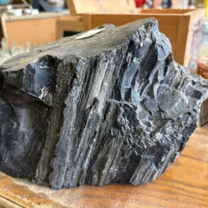 PETRIFIED WOOD D�COR