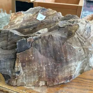 PETRIFIED WOOD D�COR