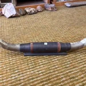 BULL HORNS