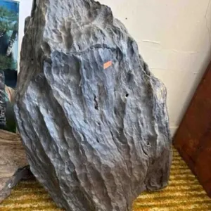 LARGE PETRIFIED WOOD D�COR