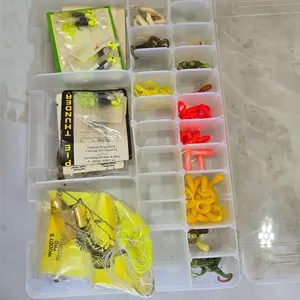 Fishing tackle organizer with tackle