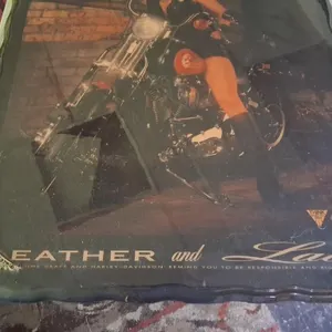Large Harley Picture