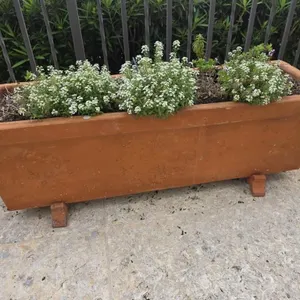 Binocci Carlo 12x40 Planter w/Sweet Alyssum