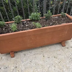 Binocci Carlo 12x40 Planter w/Plants