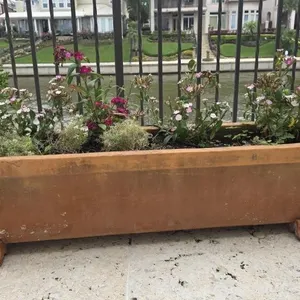 Binocci Carlo 12x40 Planter w/Dianthus