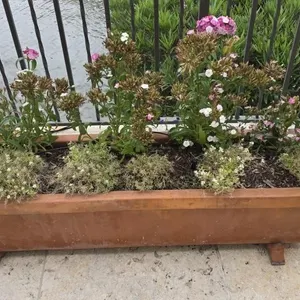 Binocci Carlo 12x40 Planter w/Dianthus