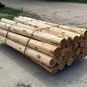(25) Eastern Red Cedar Fence Post - 8FT x 6-7IN