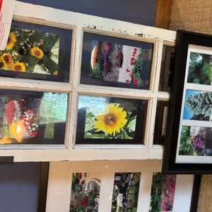Picture frames
