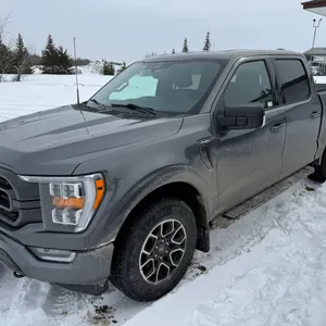 2023 Ford  F-150  XLT  4WD  Super Crew  Pickup Truck  1FTFW1E84PKE41920