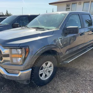 2023 Ford  F-150  XLT  4WD  Super Crew  Pickup Truck  1FTFW1E87PKD79848