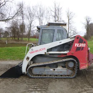 10 Takeuchi TL250 Skid Loader (QEA 8976)