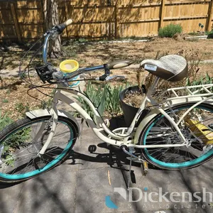 AUCTION INFORMATION-DO NOT BID ON THIS LINE-