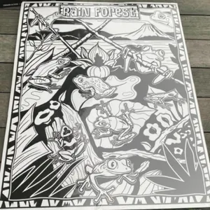 Rain Forest Coloring Craft  Set