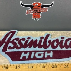 Vintage Crest Craft Assiniboia High Crest.