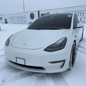 2021  Tesla  Model 3