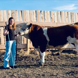 Kinley Skogstad- Steer "Norm" - Freedom Naples 4-H Club **NOTE: Bidding on this animal will be by DOLLAR VALUE PER POUND* Quantity is the weight in po