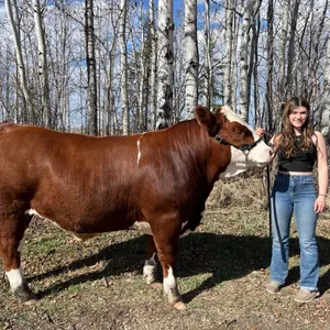 Avery DeJong- Steer "Wallen" - Freedom Naples 4-H Club **NOTE: Bidding on this animal will be by DOLLAR VALUE PER POUND* Quantity is the weight in pou