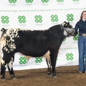 Makayla Schole- Steer "Maverick" - Meadowview 4-H Club **NOTE: Bidding on this animal will be by DOLLAR VALUE PER POUND* Quantity is the weight in pou