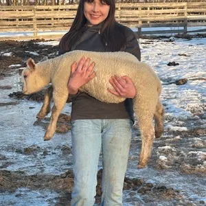 Mckenna Henderson- Lamb "Crackers" - T&M 4-H Club **NOTE: Bidding on this animal will be by DOLLAR VALUE PER POUND* Quantity is the weight in pounds a