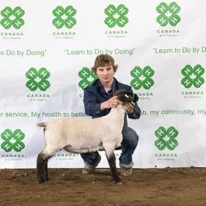 Mason Zwicker- Lamb "Toby" - Meadowview 4-H Club **NOTE: Bidding on this animal will be by DOLLAR VALUE PER POUND* Quantity is the weight in pounds as