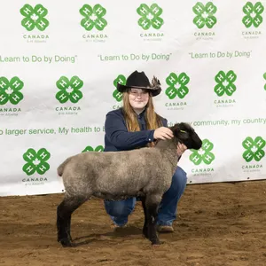 Brynnan Verch- Lamb "Gary" - T&M 4-H Club **NOTE: Bidding on this animal will be by DOLLAR VALUE PER POUND* Quantity is the weight in pounds as of sal