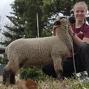 Vivian Mackenzie- Lamb "Max" - T&M 4-H Club **NOTE: Bidding on this animal will be by DOLLAR VALUE PER POUND* Quantity is the weight in pounds as of s