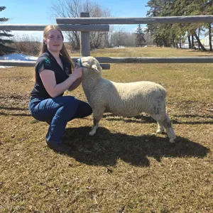 Chloe Bowers - Lamb "Finnick" - Sunniebend 4-H Club **NOTE: Bidding on this animal will be by DOLLAR VALUE PER POUND* Quantity is the weight in pounds