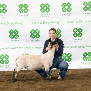 Bronwyn Zwicker- Lamb "Bunny" - Meadowview 4-H Club **NOTE: Bidding on this animal will be by DOLLAR VALUE PER POUND* Quantity is the weight in pounds