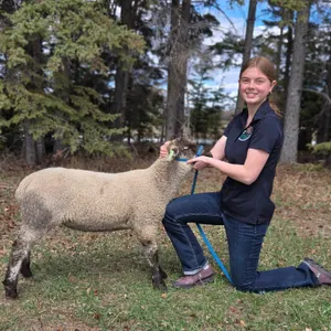 Abbie Bennet- Lamb "Bocephis" - Sunniebend 4-H Club **NOTE: Bidding on this animal will be by DOLLAR VALUE PER POUND* Quantity is the weight in pounds