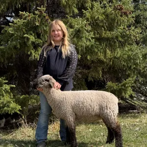 Kelsey Hanson- Lamb "Ketchup" - T&M 4-H Club **NOTE: Bidding on this animal will be by DOLLAR VALUE PER POUND* Quantity is the weight in pounds as of 