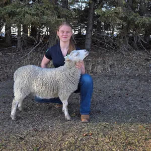 Eva Larson- Lamb "Nugget" - Sunniebend 4-H Club **NOTE: Bidding on this animal will be by DOLLAR VALUE PER POUND* Quantity is the weight in pounds as 