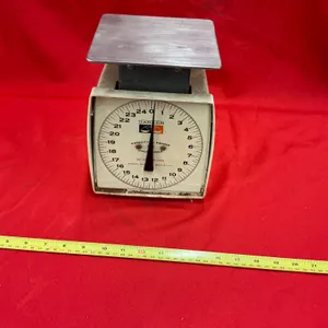 25 Pound Hanson Scale